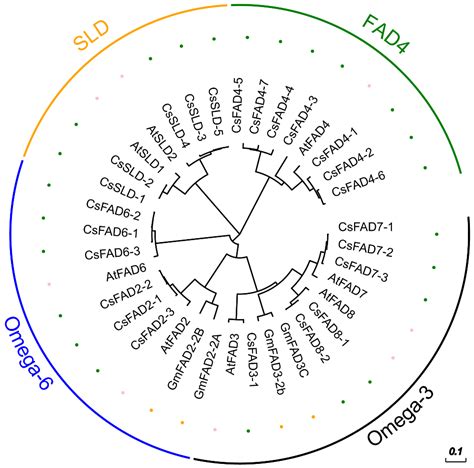 IJMS Free Full Text Genome Wide Identification And Expression