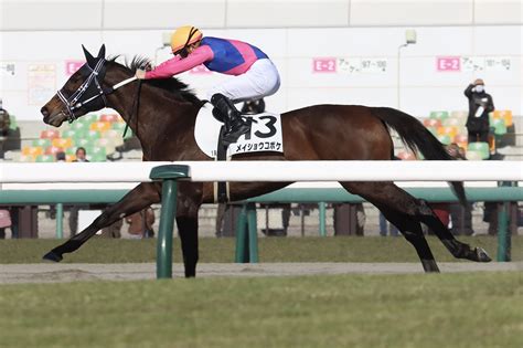 Mat On Twitter 2023 2 4 中京1r 3歳未勝利 勝馬 メイショウコボケ 団野大成騎手 中京競馬場 メイショウコボケ 団野大成 河内洋厩舎 T