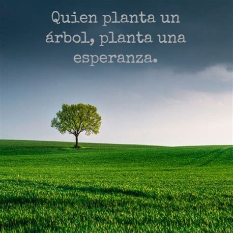 Aprender Acerca 41 Imagen Frases Sobre Plantas Viaterra Mx