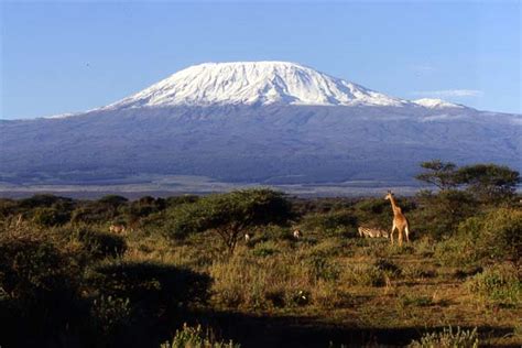 Jungle Photos Africa Scenery mountains - Mount Kilimanjaro photo