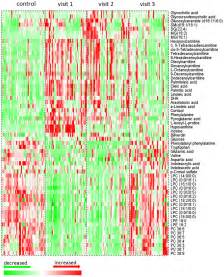 Heat Map Of Identified Differential Metabolites From Both Lc Ms Ms And