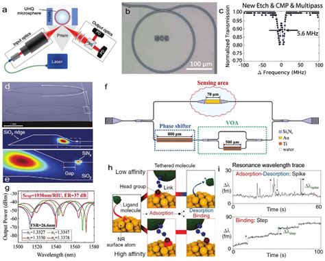 A Schematic Showing The Wgm Microsphere Based Biosensing System