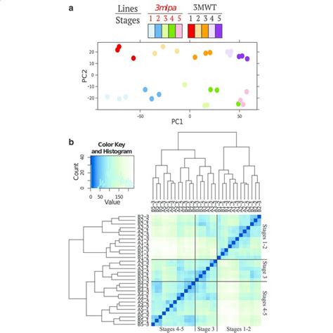 Biological Sample Variability A Principle Component Analysis Plot Download Scientific Diagram