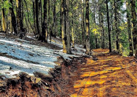 The Trekking trails of Himachal