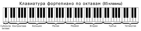 Октавы на пианино сколько октав их названия расположение первой