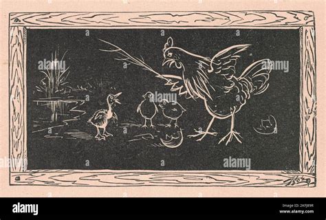 L Antica Illustrazione In Bianco E Nero Mostra Una Gallina E Polli