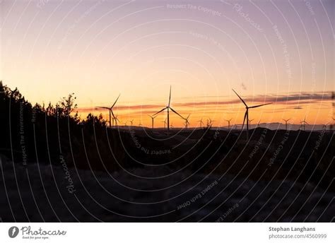 Panoramablick Auf Einen Windpark Mit Kohlekraftwerk Bei Sonnenuntergang