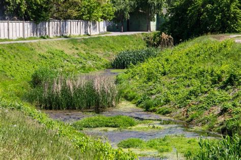 Water Pollution in Urban River Stock Photo - Image of city, canal ...