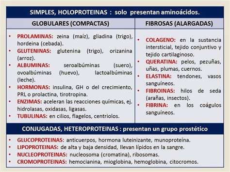 Biolog A Did Ctica Nsc Clasificaci N De Las Prote Nas