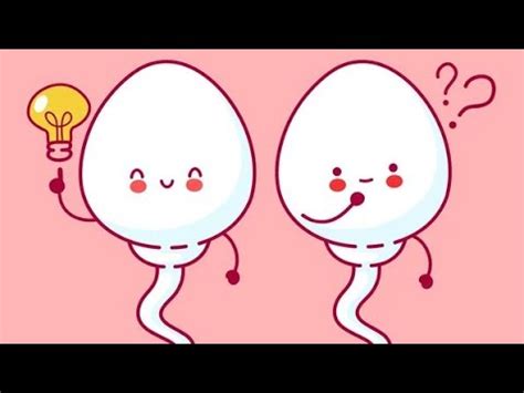 la gamétogenese parti 6 le controle Hormonale de la spermatogenese شرح