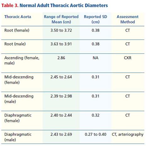 Age Aorta Size Chart