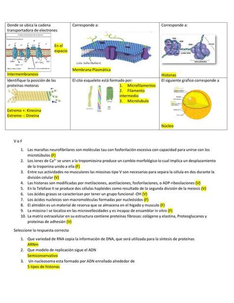 Biología Básica Steph uDocz