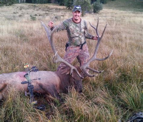 Colorado Hunter Testimonials Monster Muley And Bowhunters Bull