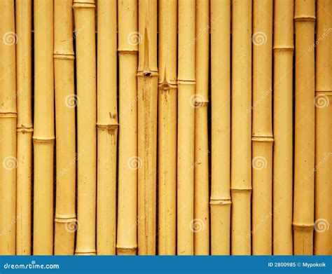 Fundo de bambu japonês imagem de stock Imagem de linha 2800985