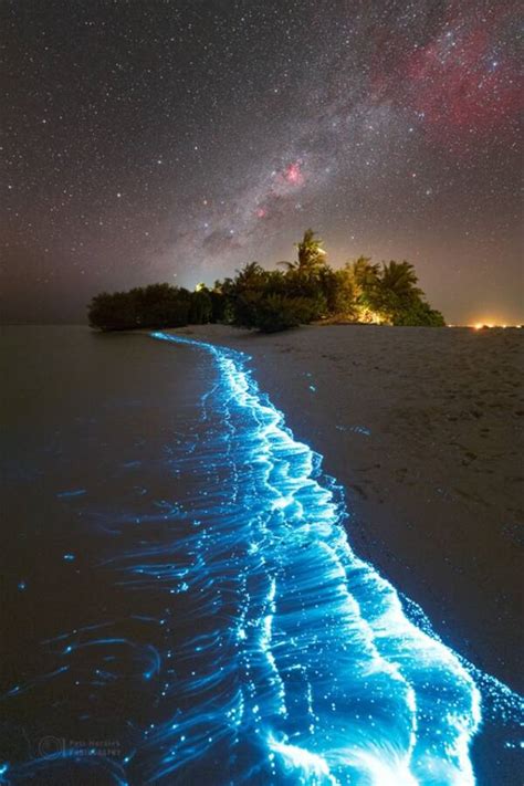 Explore The Sparkling Sea Of Stars In The Maldives