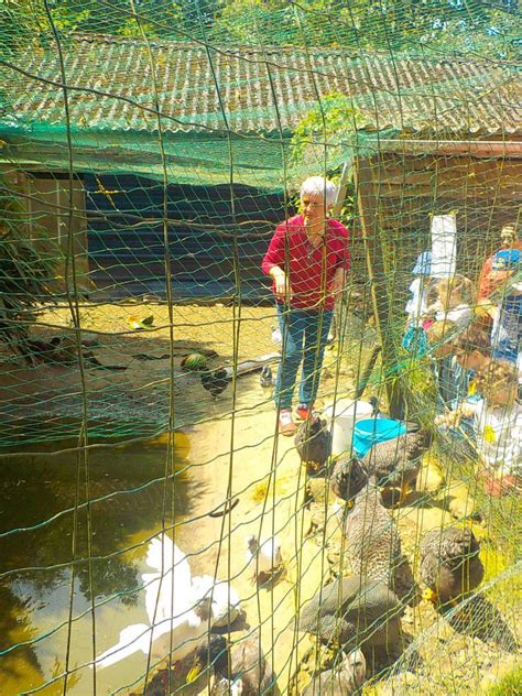 Sortie Chez Dame Nature Meslan Ecole Maternelle Et Elementaire