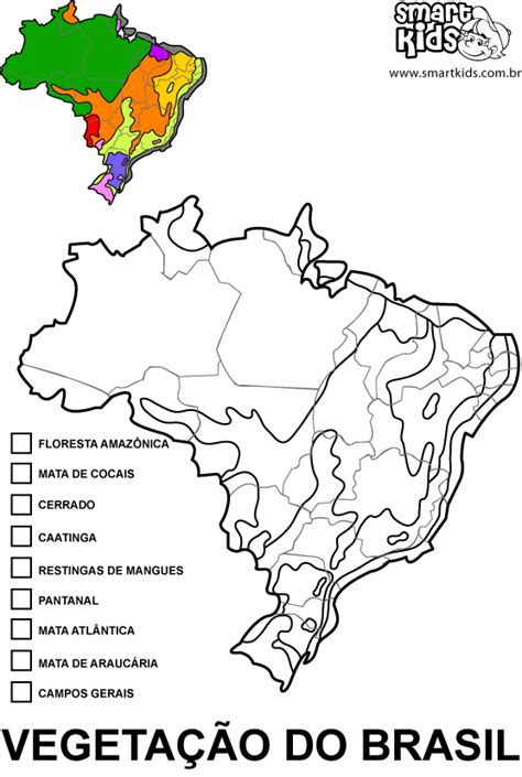 Mapas Do Brasil Para Colorir Atividades Para Educação Infantil