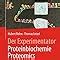 Der Experimentator Proteinbiochemie Proteomics Rehm Hubert Letzel