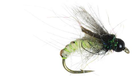 11 Best Caddisfly Patterns For The Fly Fisher Nymphs Dries With An