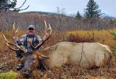 Roosevelt Elk Hunt In Alaska Boat Based