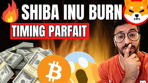 Shiba Inu Bitcoin Dominance Quel Est Le Meilleur Moment Pour