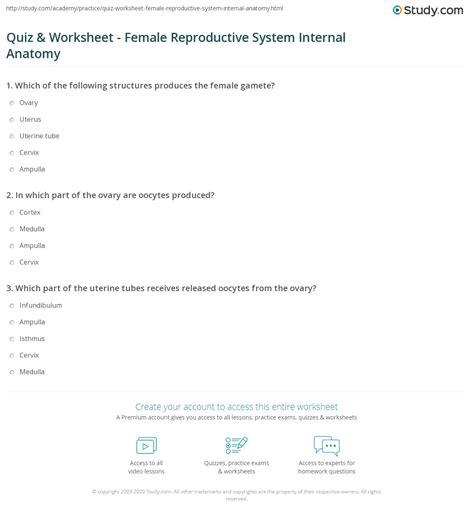 Reproductive System Questions And Answers Female Reproductiv