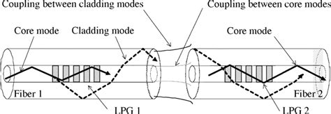 Schematic Diagram Of The Optical Fiber Connector Lpgs Imprinted In