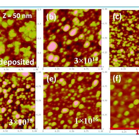 Atomic Force Microscopic Afm Micrographs Of A As Deposited Au Thin