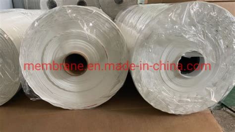 What Is Regenerated Cellulose Membrane Sheet Mwco Dalton