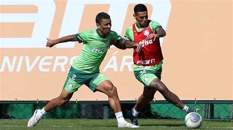 Veja Fotos Do último Treino Do Palmeiras Antes De Jogo Da Copa Do