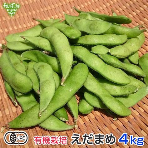 有機枝豆 4kg 鹿児島県産 生 有機jas 枝豆 えだまめ 枝まめ エダマメ 無農薬 化学肥料・農薬不使用 有機栽培 冷蔵便 発送期間6月