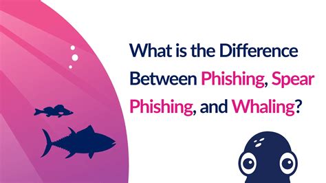 What Is The Difference Between Spear Phishing And Whaling