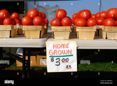 Roadside Produce Stand Tomatoes Hi Res Stock Photography And Images Alamy