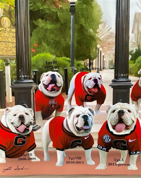 Georgia Bulldogs Uga the Mascot Generations at the Arch - Etsy