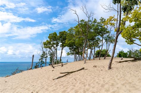 Warren Dunes State Park 342 Photos And 158 Reviews Parks 12032 Red