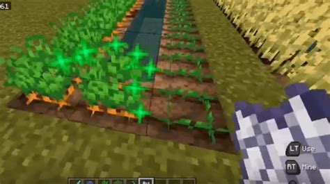 How To Find Carrots In Minecraft All Versions