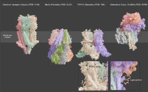 Examples Of Membrane Protein Structures Solved Using Different