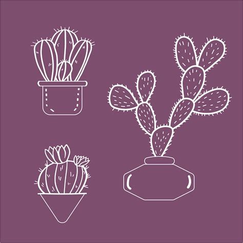 Conjunto de cactus estilo garabato ilustración vectorial púrpura