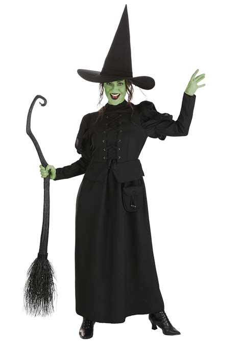 Wizard Of Oz Adult Wicked Witch Costume Movie Costumes 33 Off