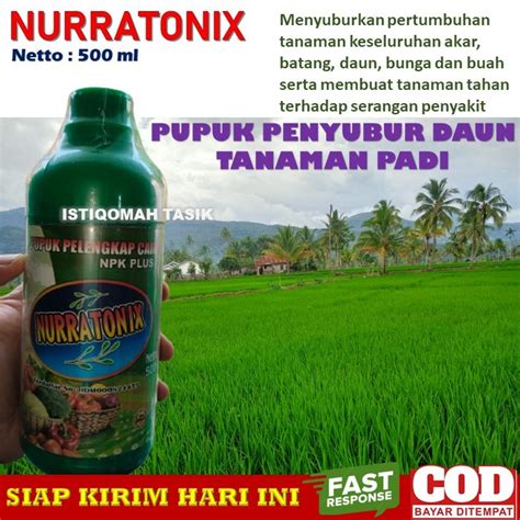 Jual Pupuk Penyubur Daun Padi Terbaik NURRATONIX 500ML Pupuk NPK Cair