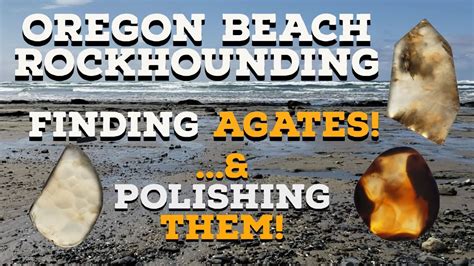 Oregon Beach Rockhounding Finding Agates And Polishing Thefinders Youtube