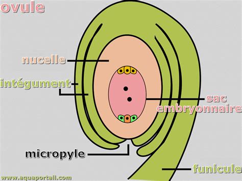 Funicule définition et explications