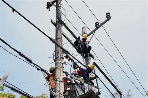 Petugas Pln Malang Lakukan Perawatan Jaringan Listrik Foto