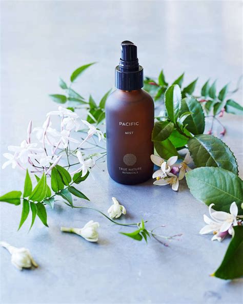 True Nature Botanicals Nontoxic Science First Skin Care Remodelista