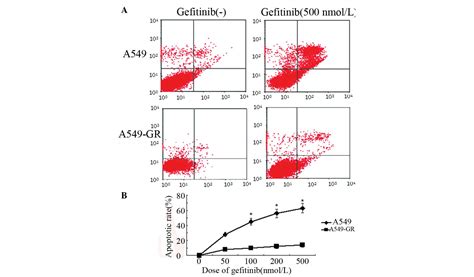 Gefitinib Induces Lung Cancer Cell Autophagy And Apoptosis Via Blockade