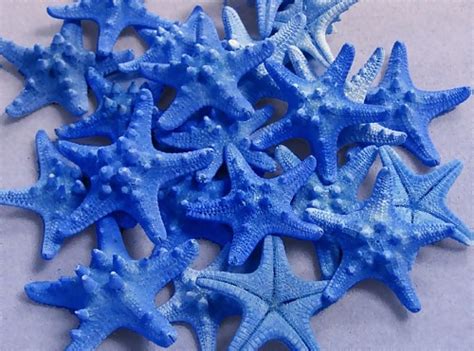 Blue Starfish - Blue Photo (31979849) - Fanpop