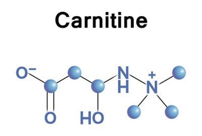 L Carnitine Li U C Ph I Ch C T C D Ng Gi M C N