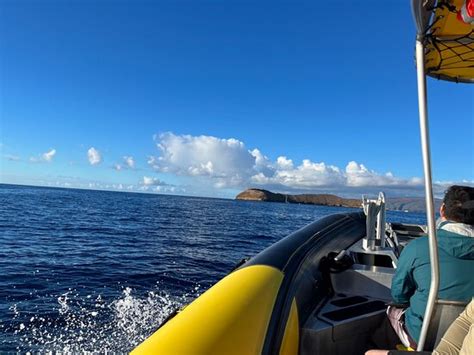 Maui Snorkel Charters Kihei All You Need To Know Before You Go