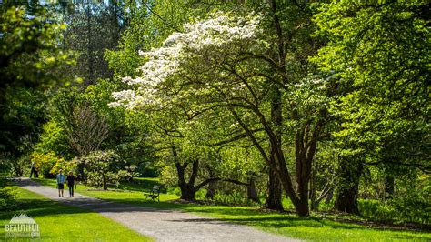 Washington Park Arboretum