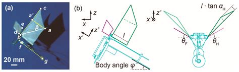 Aerospace Free Full Text Experimental Study Of The Aerodynamic